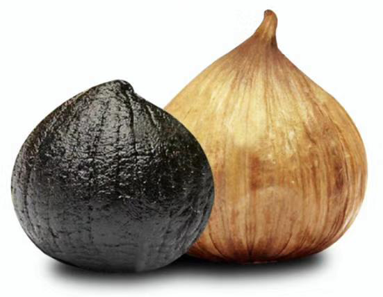 solo black garlic